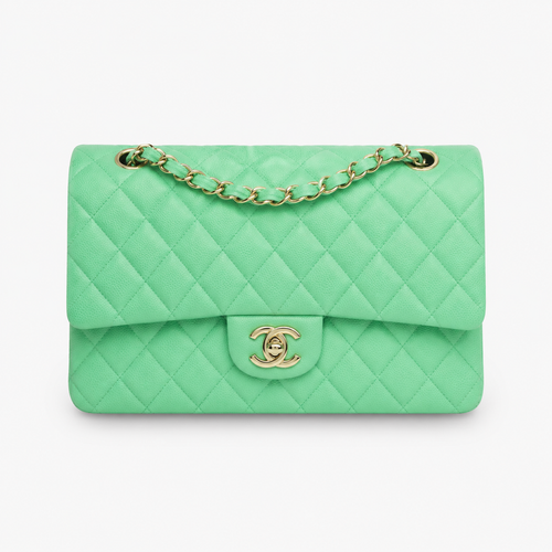 Chanel Medium Classic Double Flap Bag