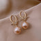 Pearl Loop Earrings in Gold