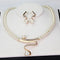 Natural Pearl Necklace and Earring Set