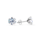 Tera Chic White Gold Earrings